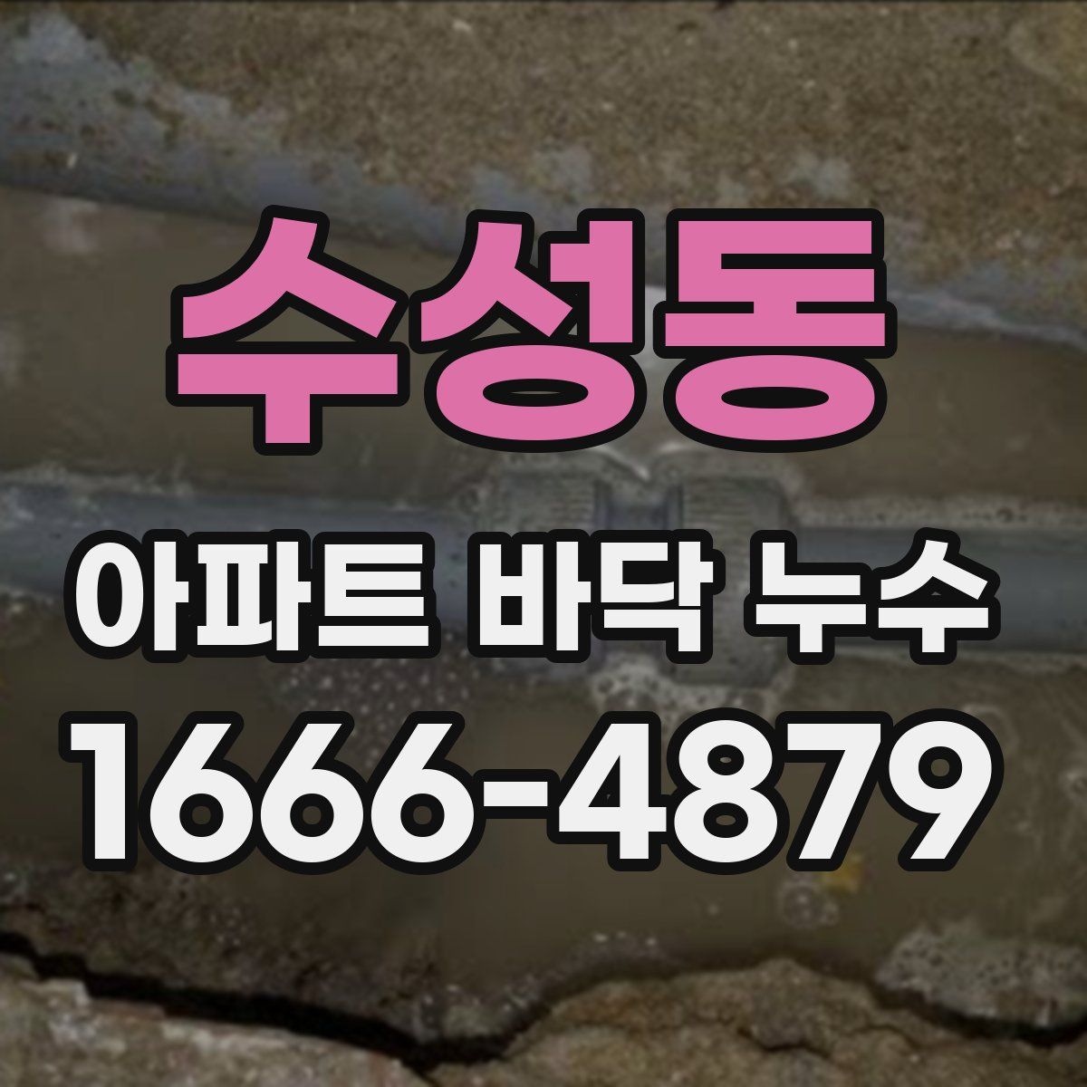 수성동 아파트 바닥 누수