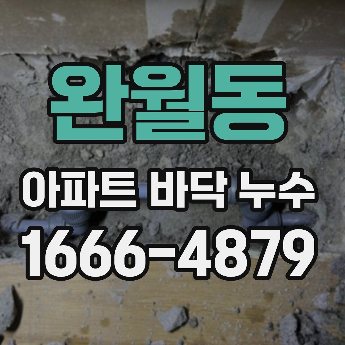 완월동 아파트 바닥 누수