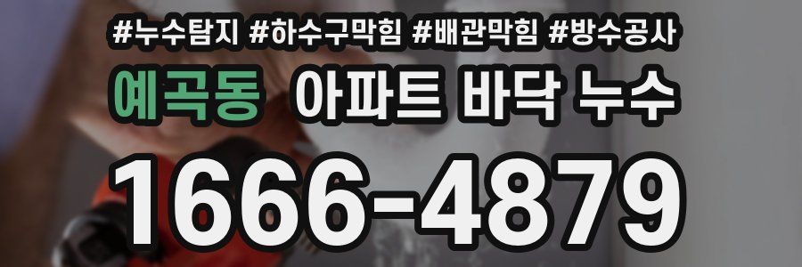예곡동 아파트 바닥 누수