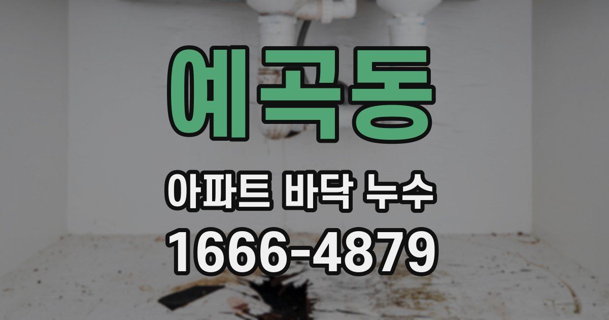 예곡동 아파트 바닥 누수
