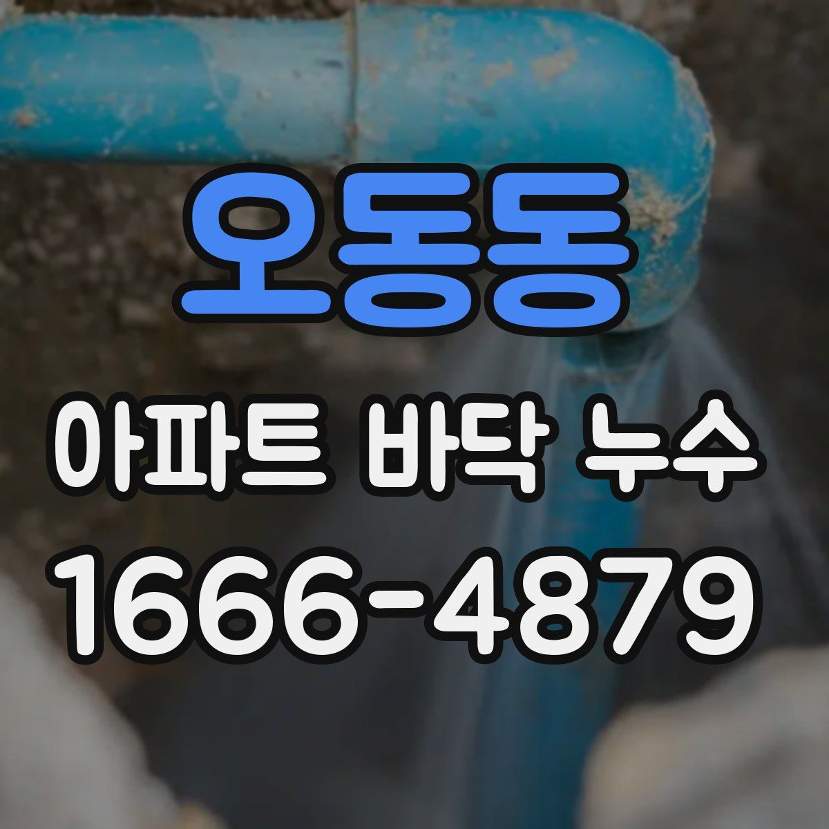 오동동 아파트 바닥 누수