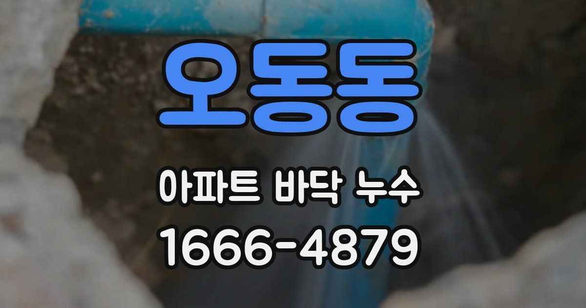 오동동 아파트 바닥 누수