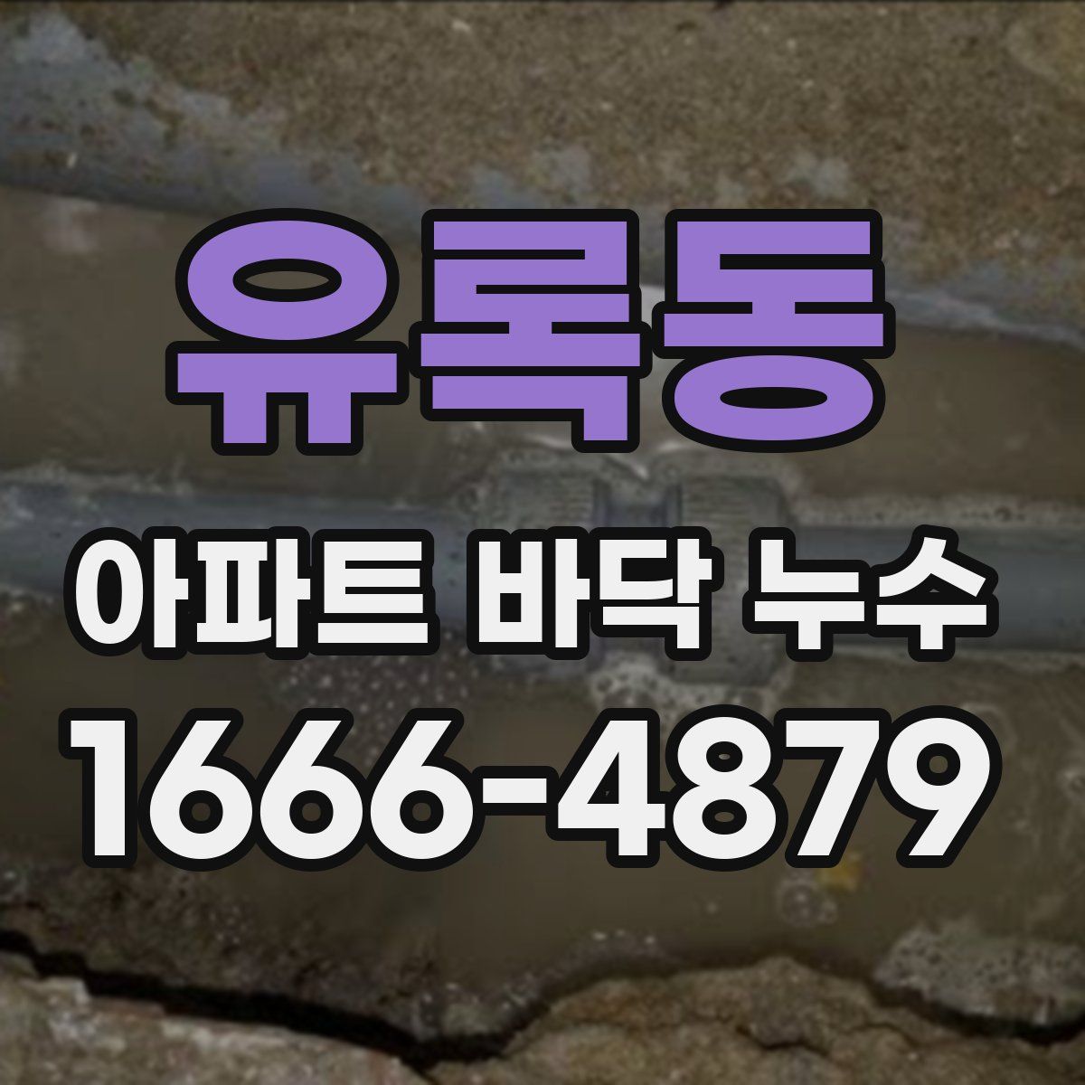유록동 아파트 바닥 누수
