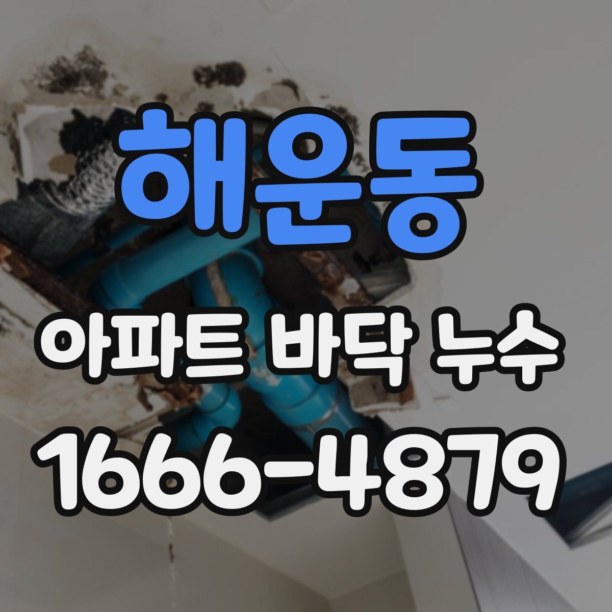 해운동 아파트 바닥 누수