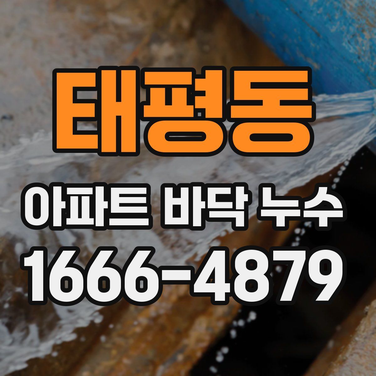 태평동 아파트 바닥 누수