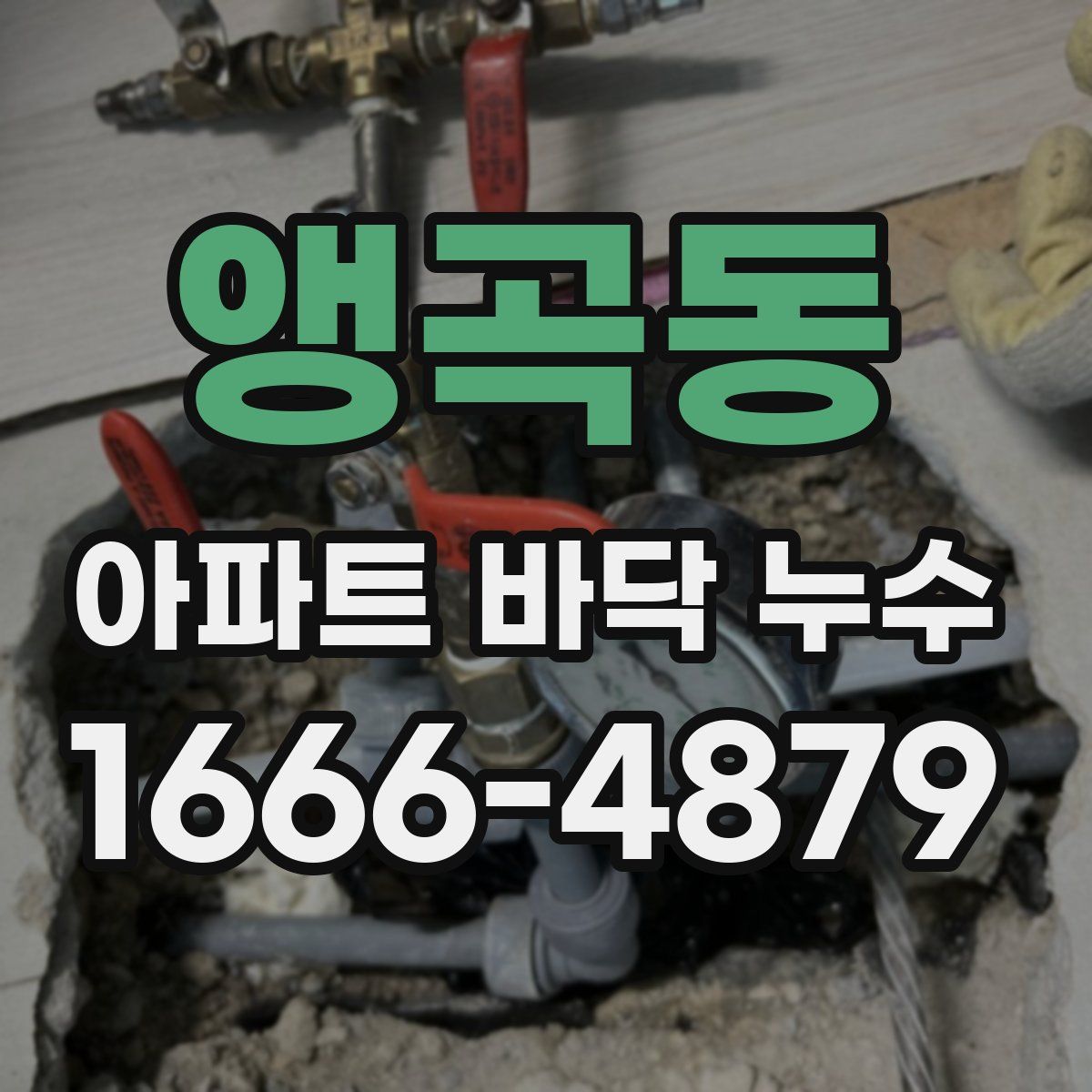 앵곡동 아파트 바닥 누수
