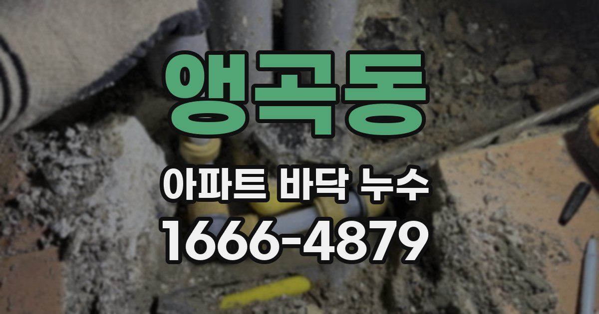 앵곡동 아파트 바닥 누수