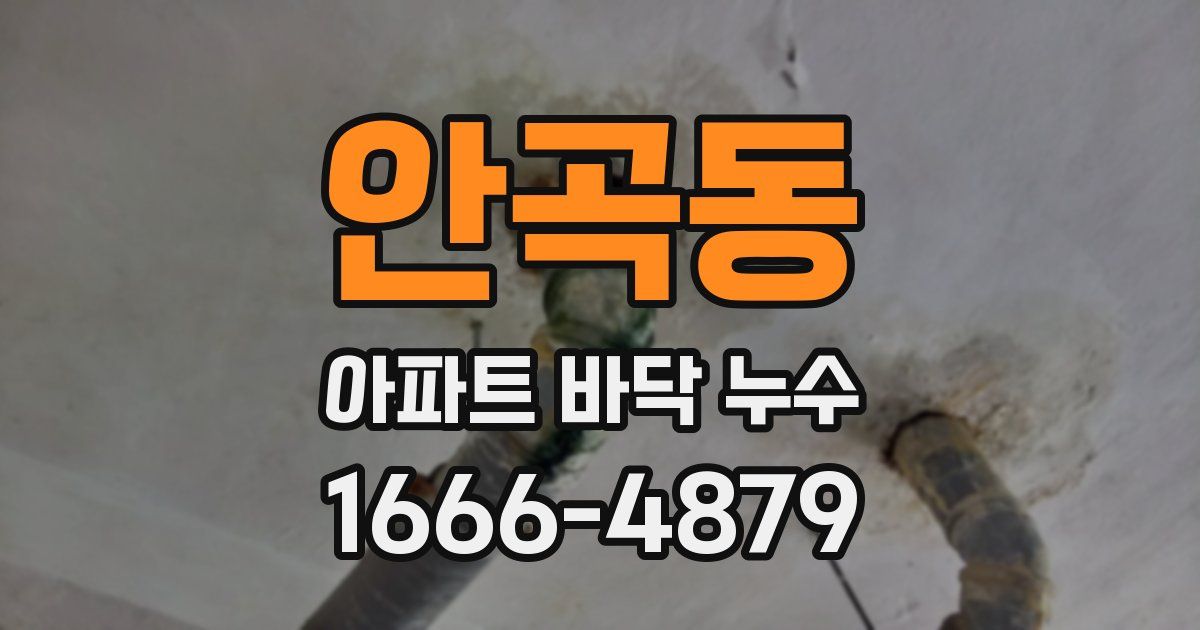 안곡동 아파트 바닥 누수