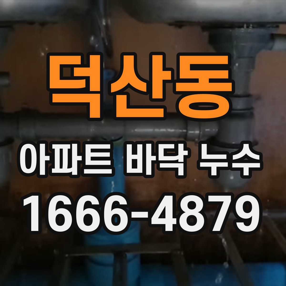 덕산동 아파트 바닥 누수