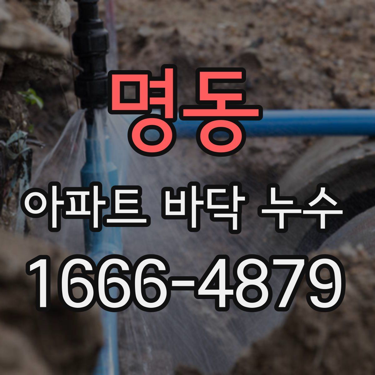 명동 아파트 바닥 누수