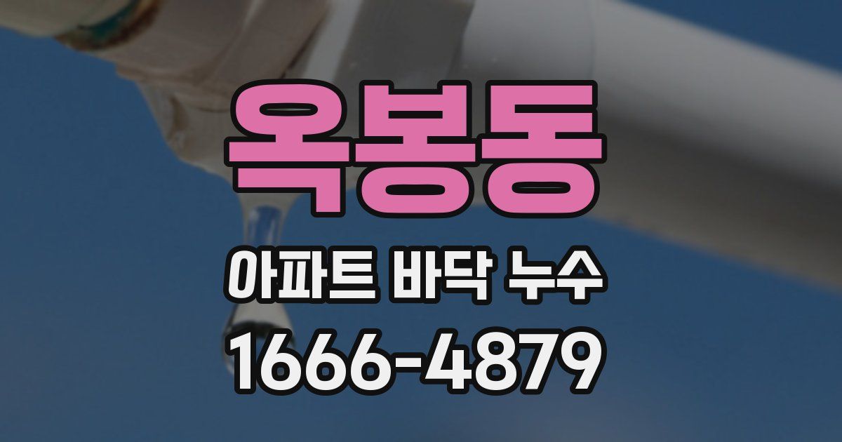 옥봉동 아파트 바닥 누수
