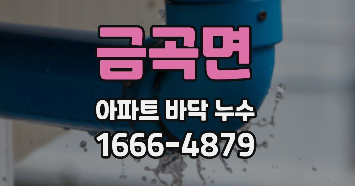금곡면 아파트 바닥 누수