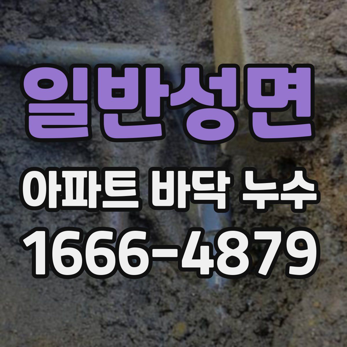 일반성면 아파트 바닥 누수