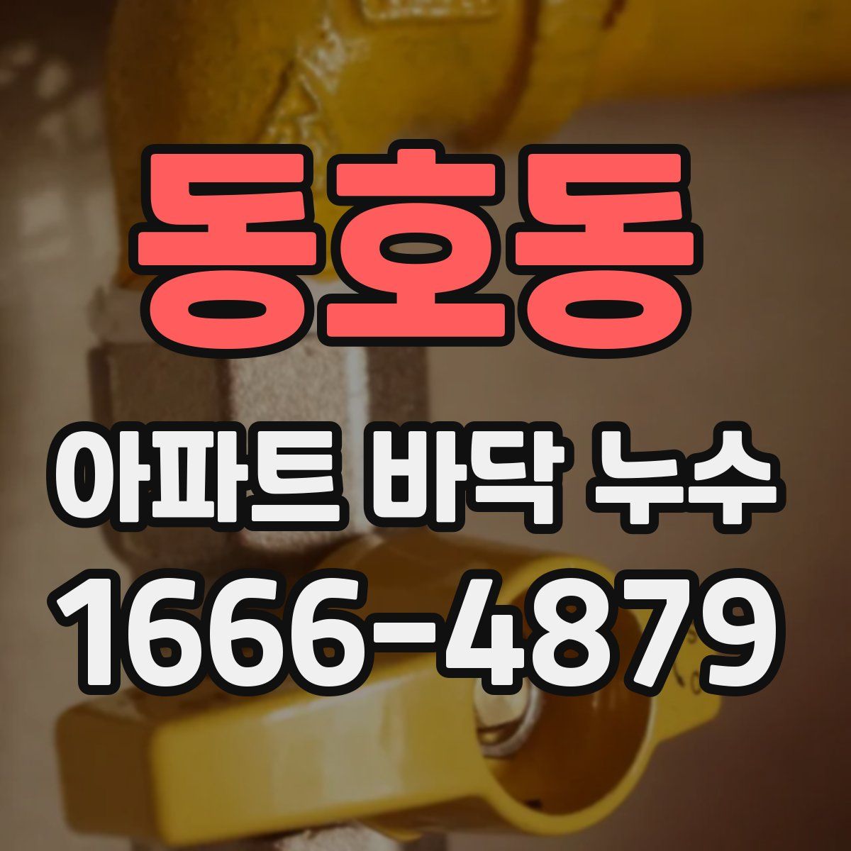 동호동 아파트 바닥 누수