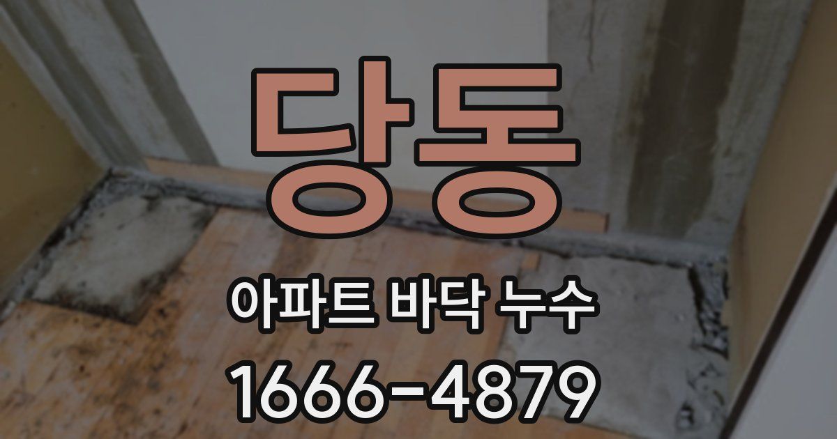 당동 아파트 바닥 누수