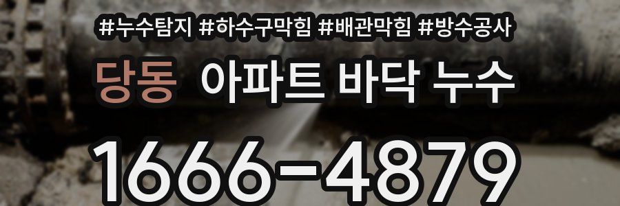 당동 아파트 바닥 누수