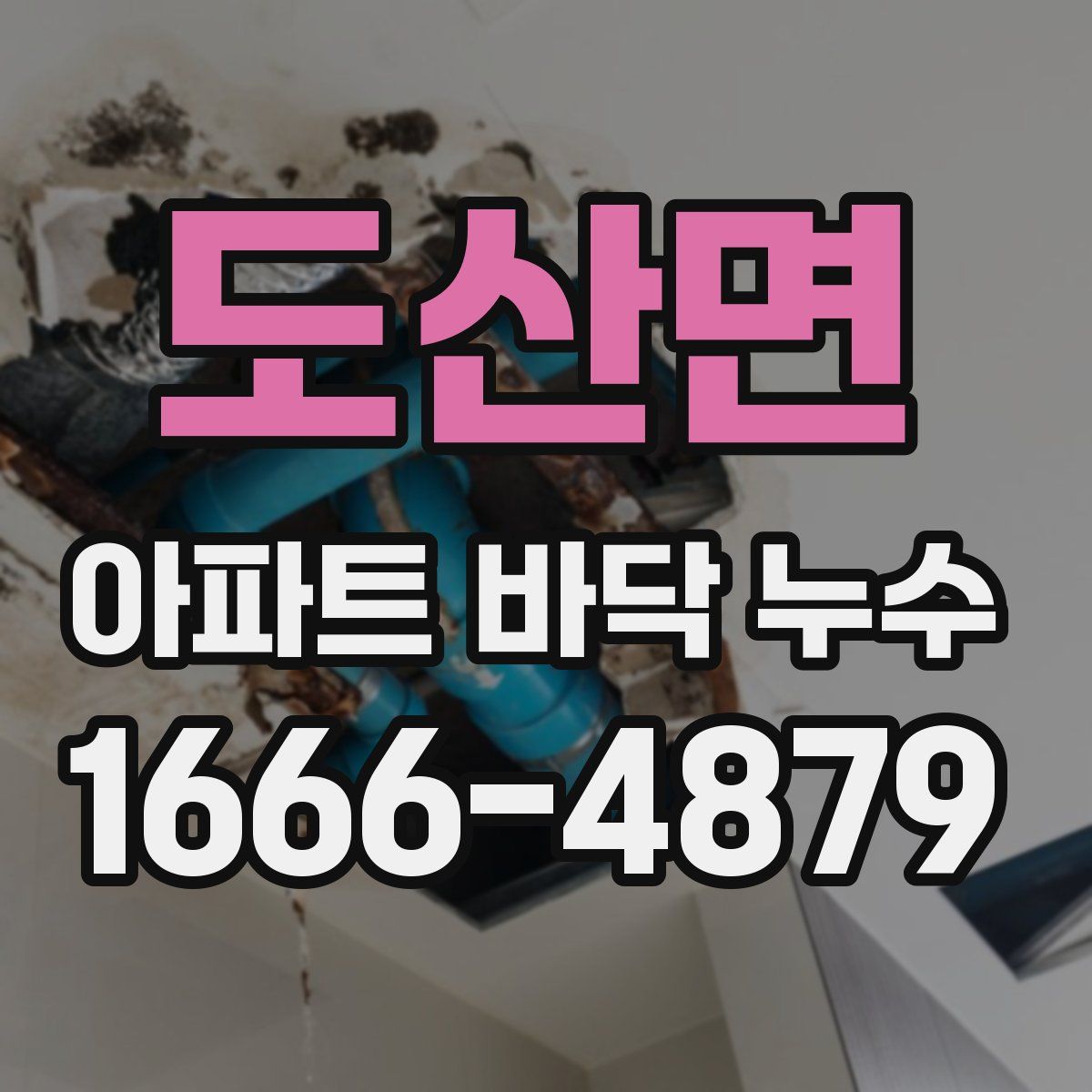 도산면 아파트 바닥 누수