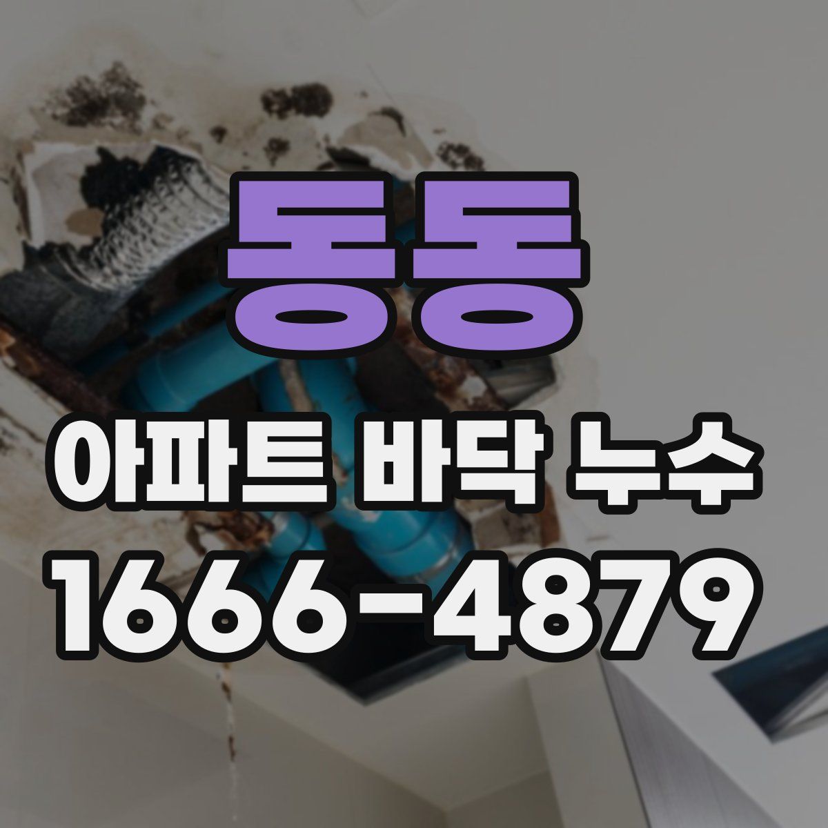 동동 아파트 바닥 누수