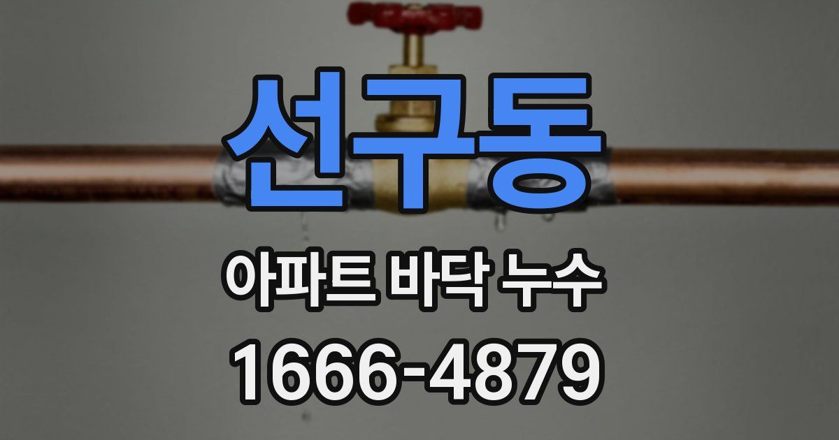 선구동 아파트 바닥 누수