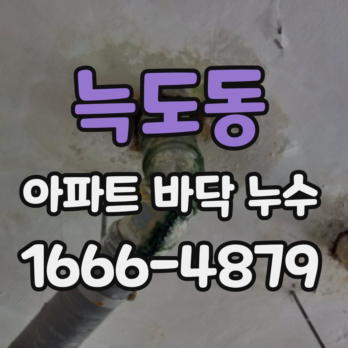 늑도동 아파트 바닥 누수