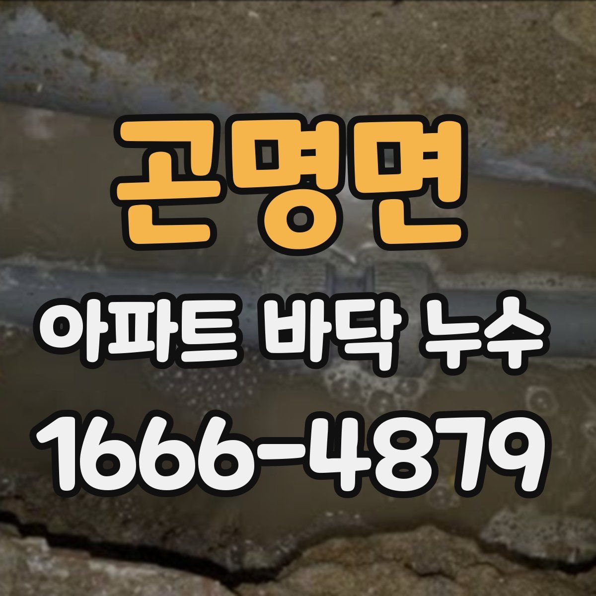 곤명면 아파트 바닥 누수