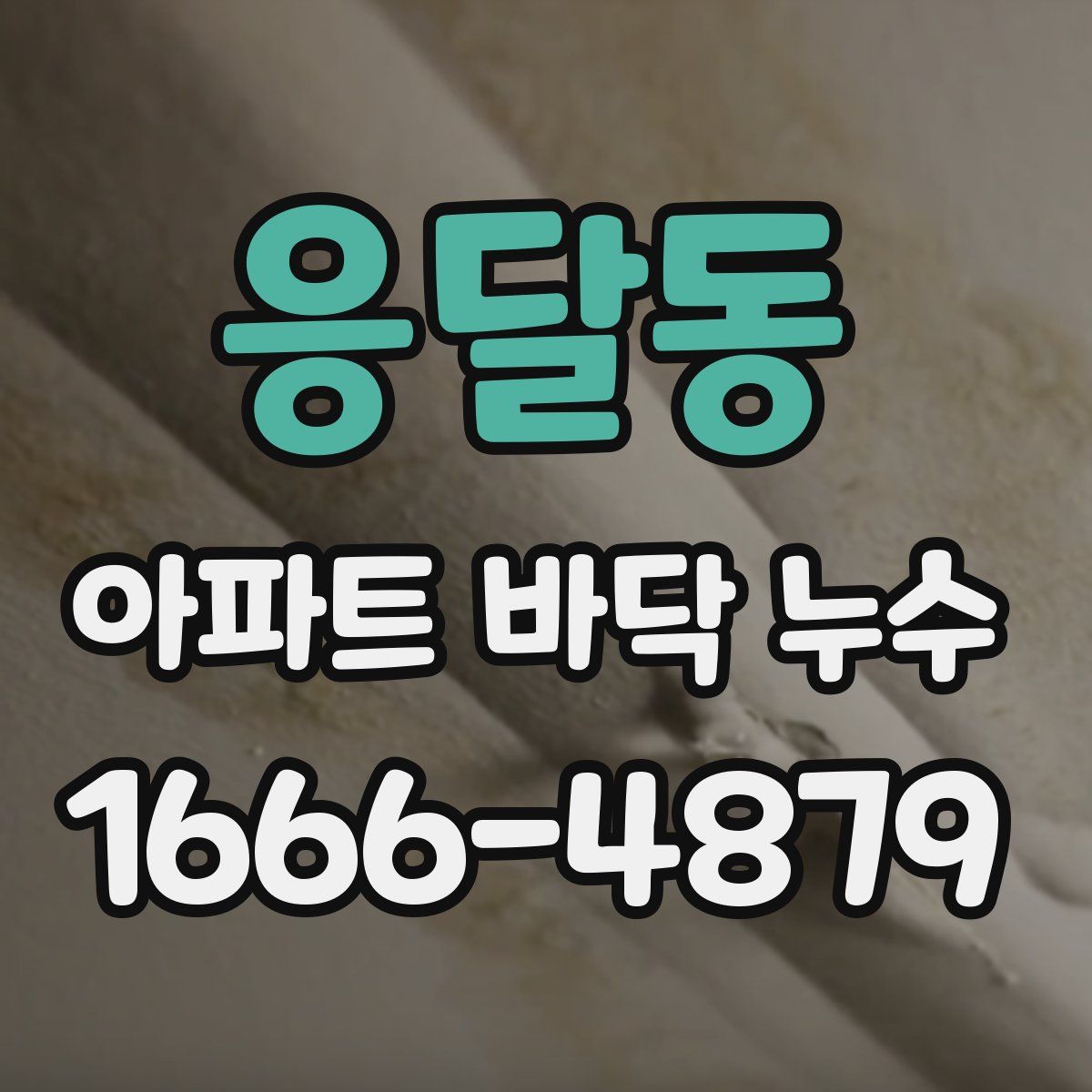 응달동 아파트 바닥 누수