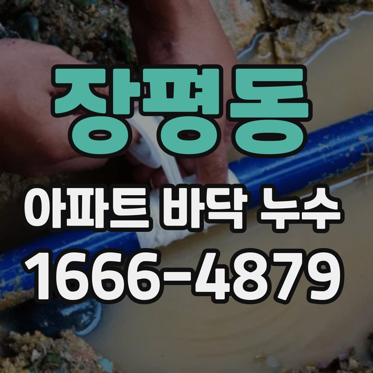 장평동 아파트 바닥 누수