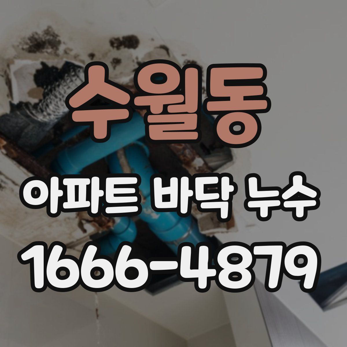 수월동 아파트 바닥 누수