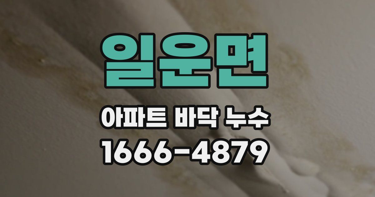 일운면 아파트 바닥 누수