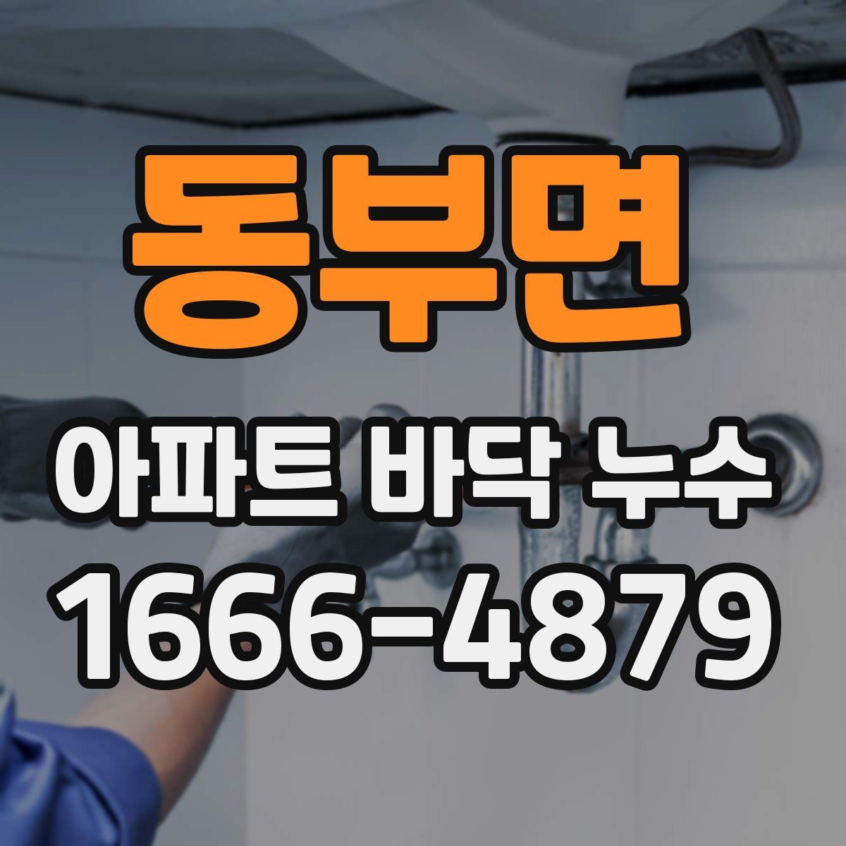 동부면 아파트 바닥 누수