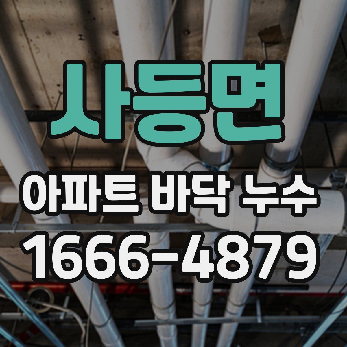사등면 아파트 바닥 누수