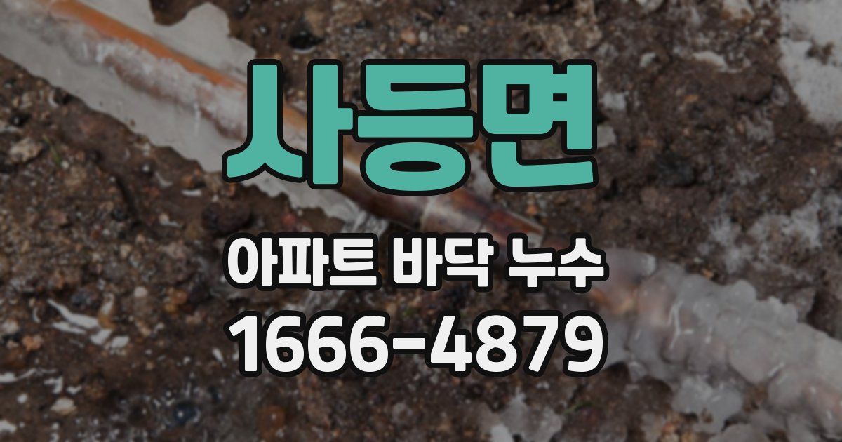 사등면 아파트 바닥 누수