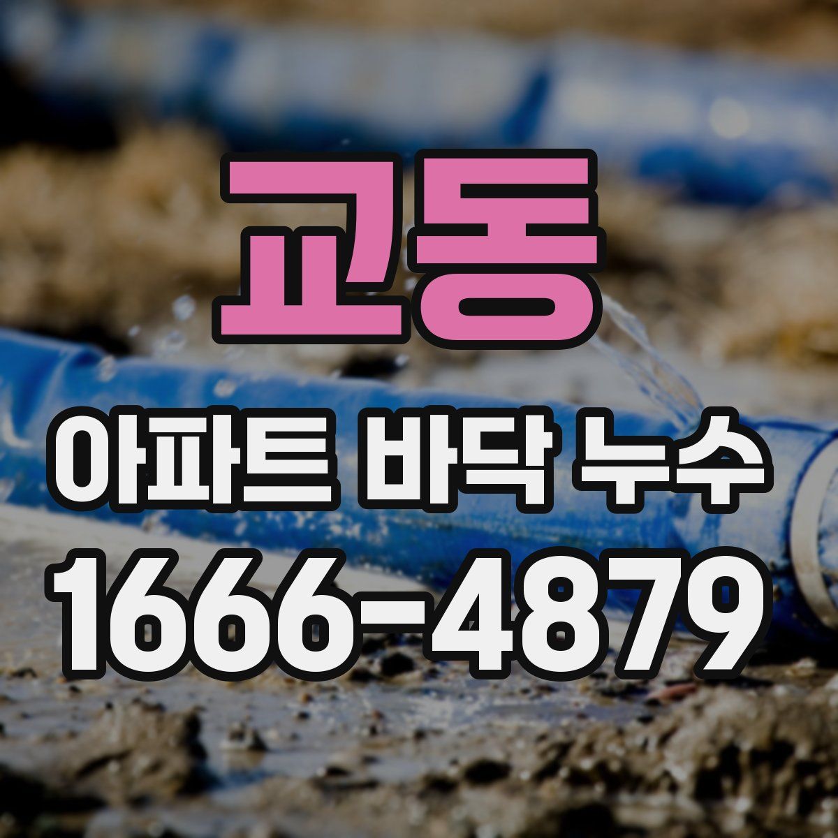 교동 아파트 바닥 누수