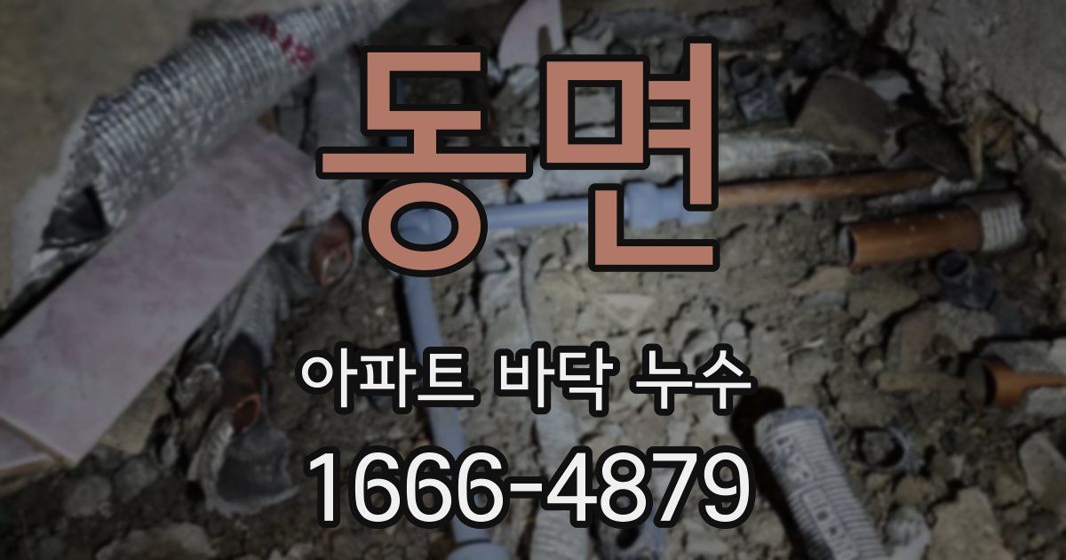동면 아파트 바닥 누수