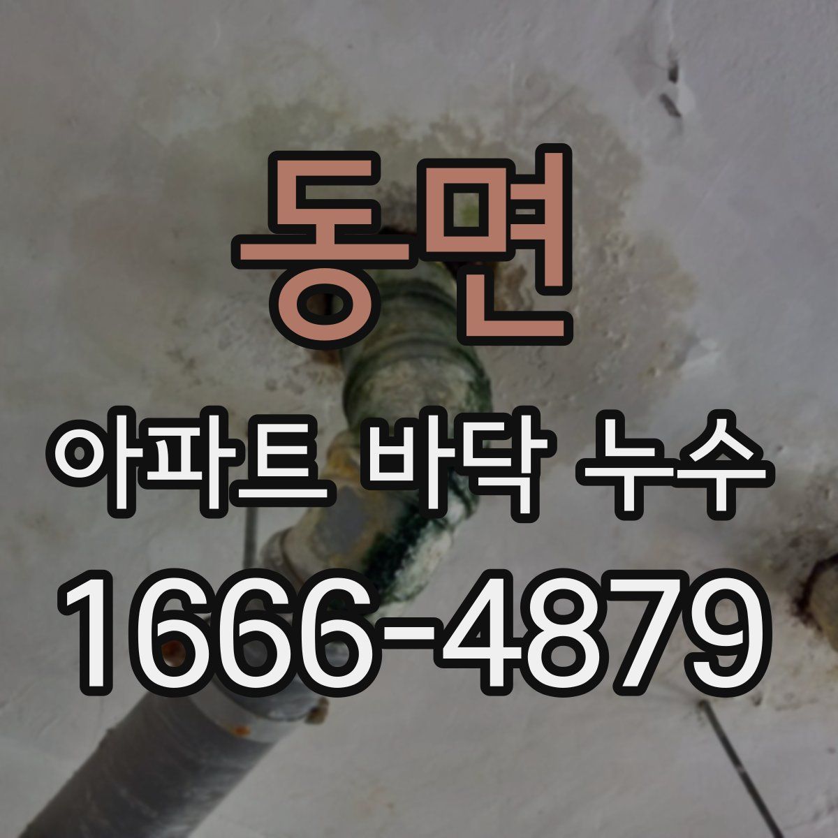 동면 아파트 바닥 누수