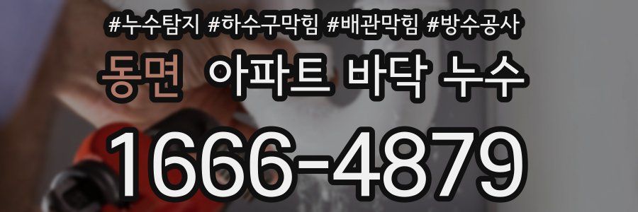 동면 아파트 바닥 누수