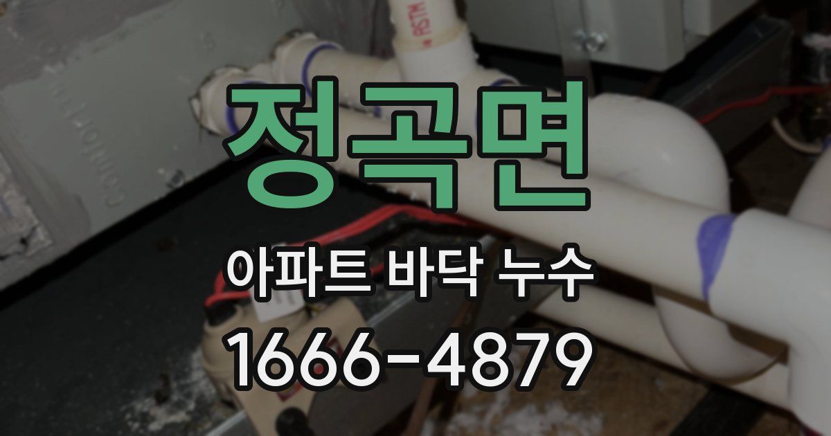 정곡면 아파트 바닥 누수