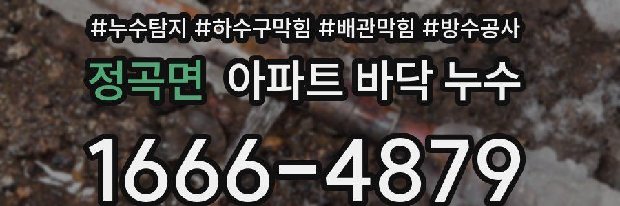 정곡면 아파트 바닥 누수