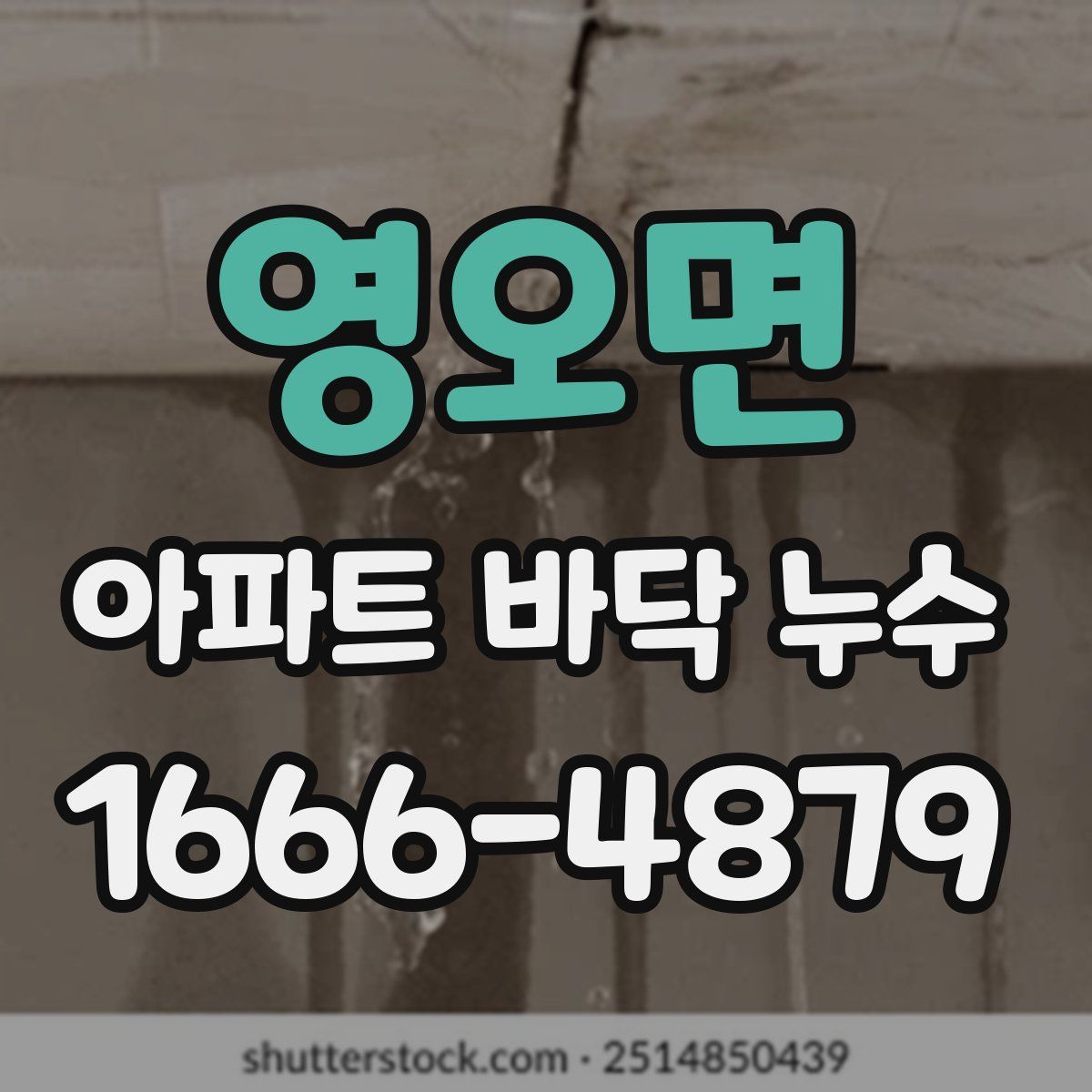 영오면 아파트 바닥 누수