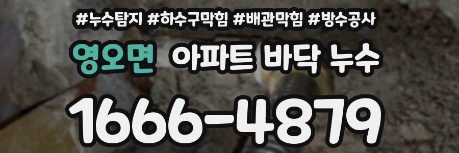 영오면 아파트 바닥 누수