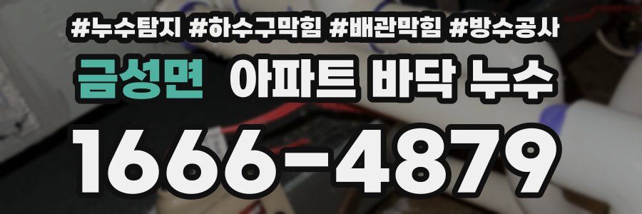 금성면 아파트 바닥 누수