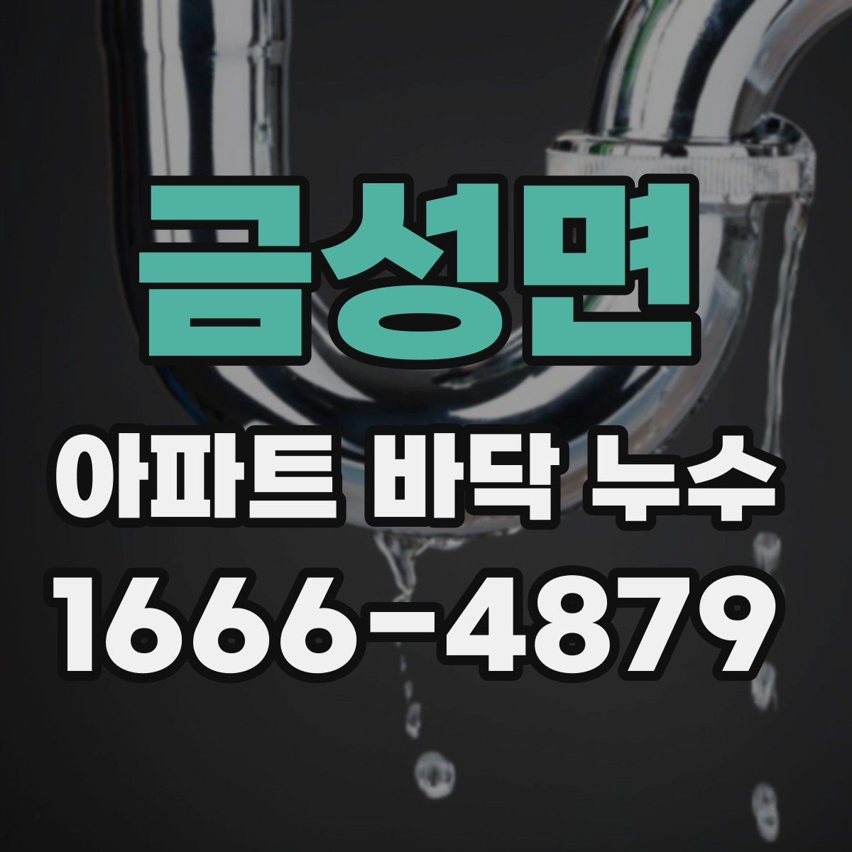 금성면 아파트 바닥 누수