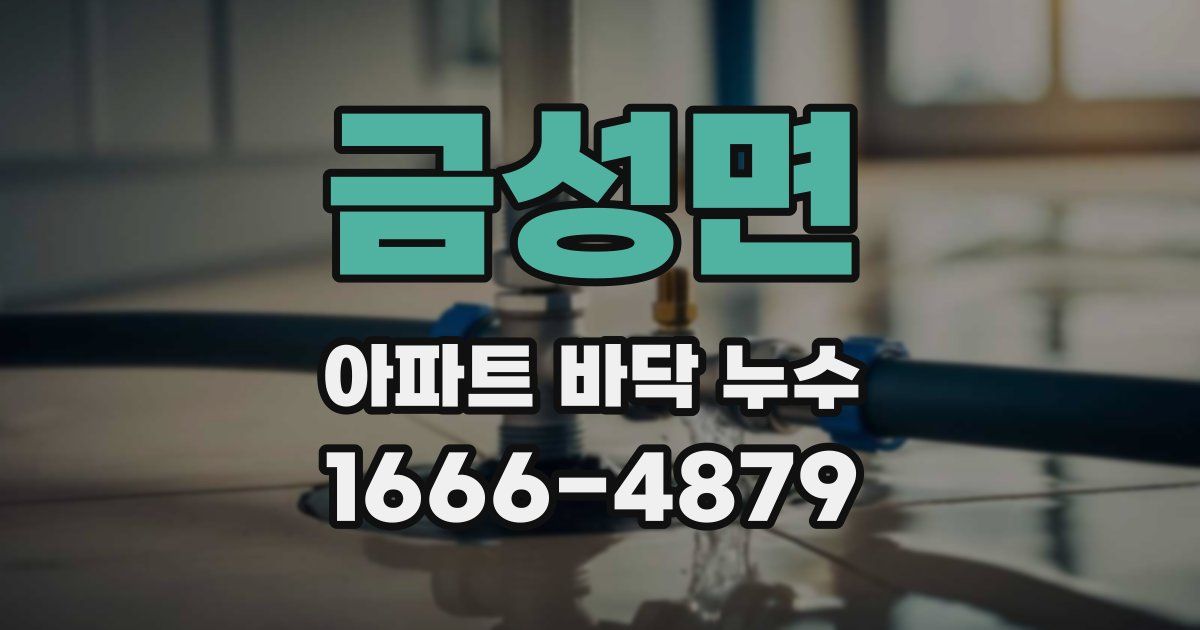 금성면 아파트 바닥 누수