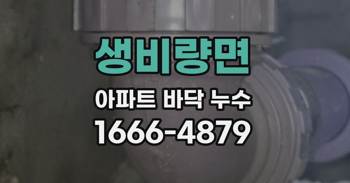 생비량면 아파트 바닥 누수