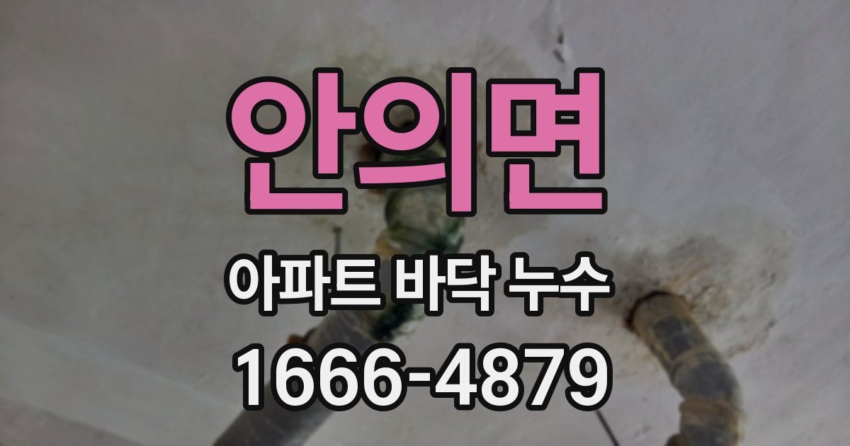 안의면 아파트 바닥 누수