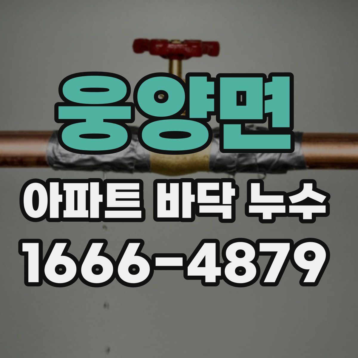 웅양면 아파트 바닥 누수