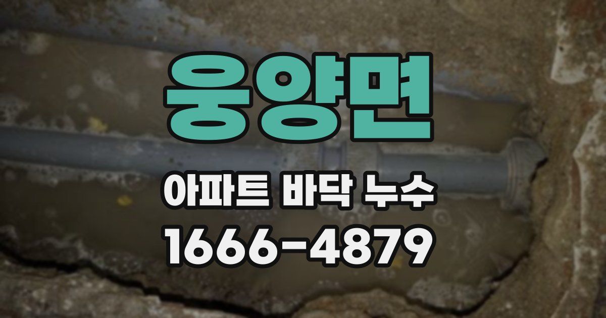 웅양면 아파트 바닥 누수