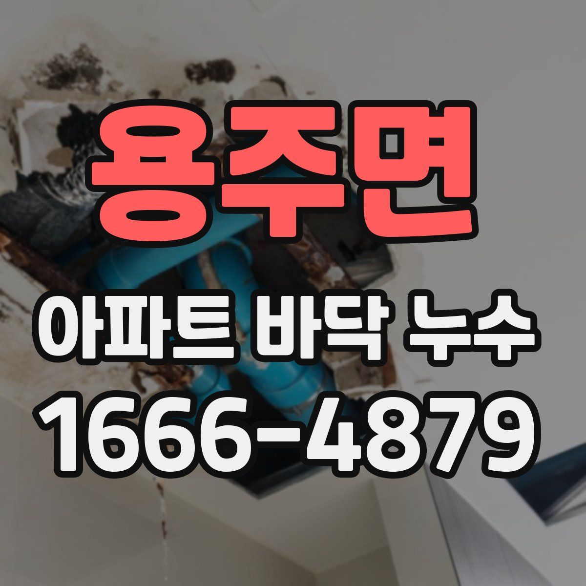 용주면 아파트 바닥 누수