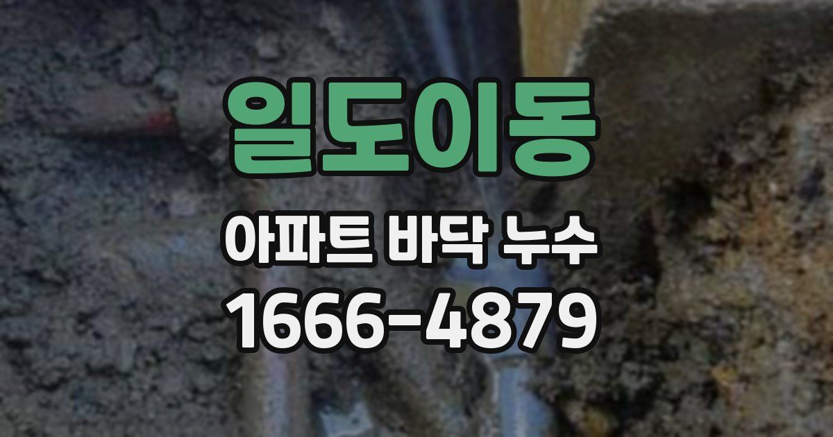 일도이동 아파트 바닥 누수