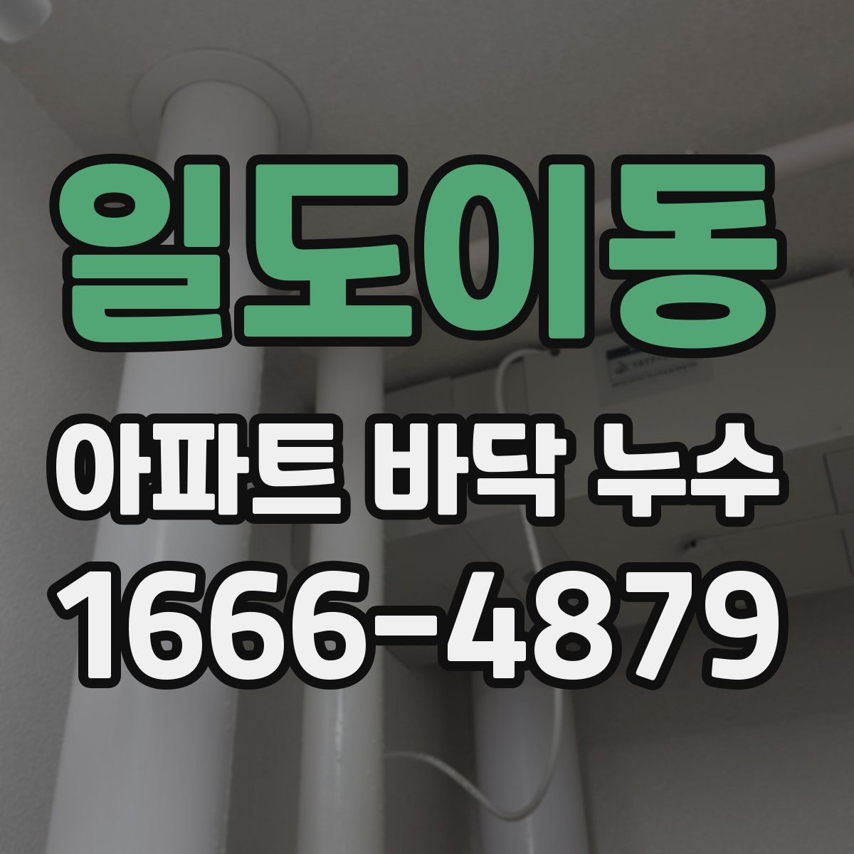 일도이동 아파트 바닥 누수